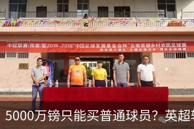 5000万镑只能买普通球员？英超转会市场彻底疯了
